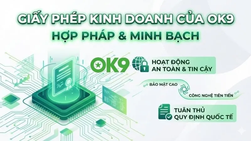 giay-phep-kinh-doanh-cua-ok9-va-suc-manh-phap-ly-cot-loi